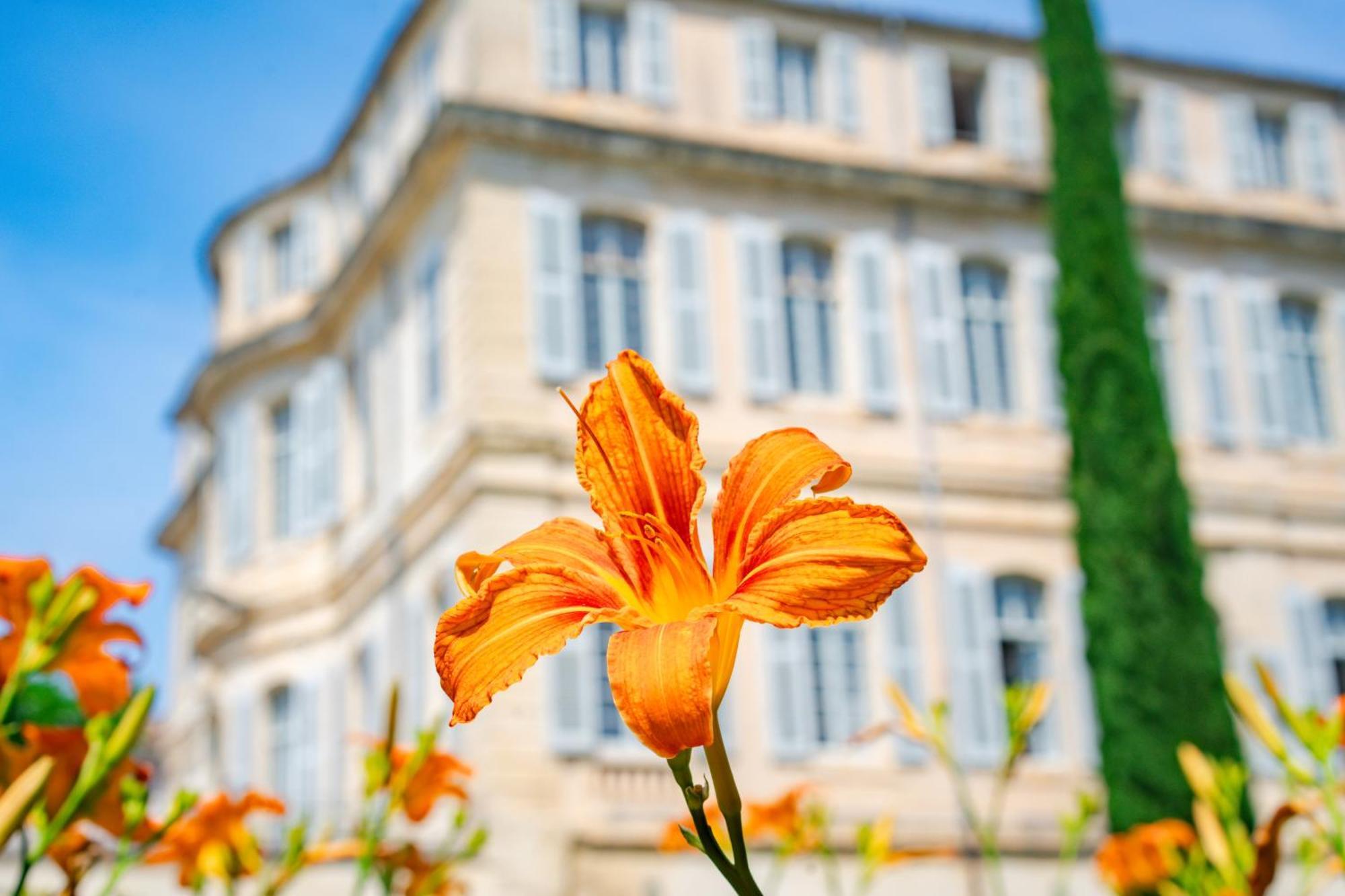 Chateau De Mazan, BW Premier Collection By Best Western Buitenkant foto